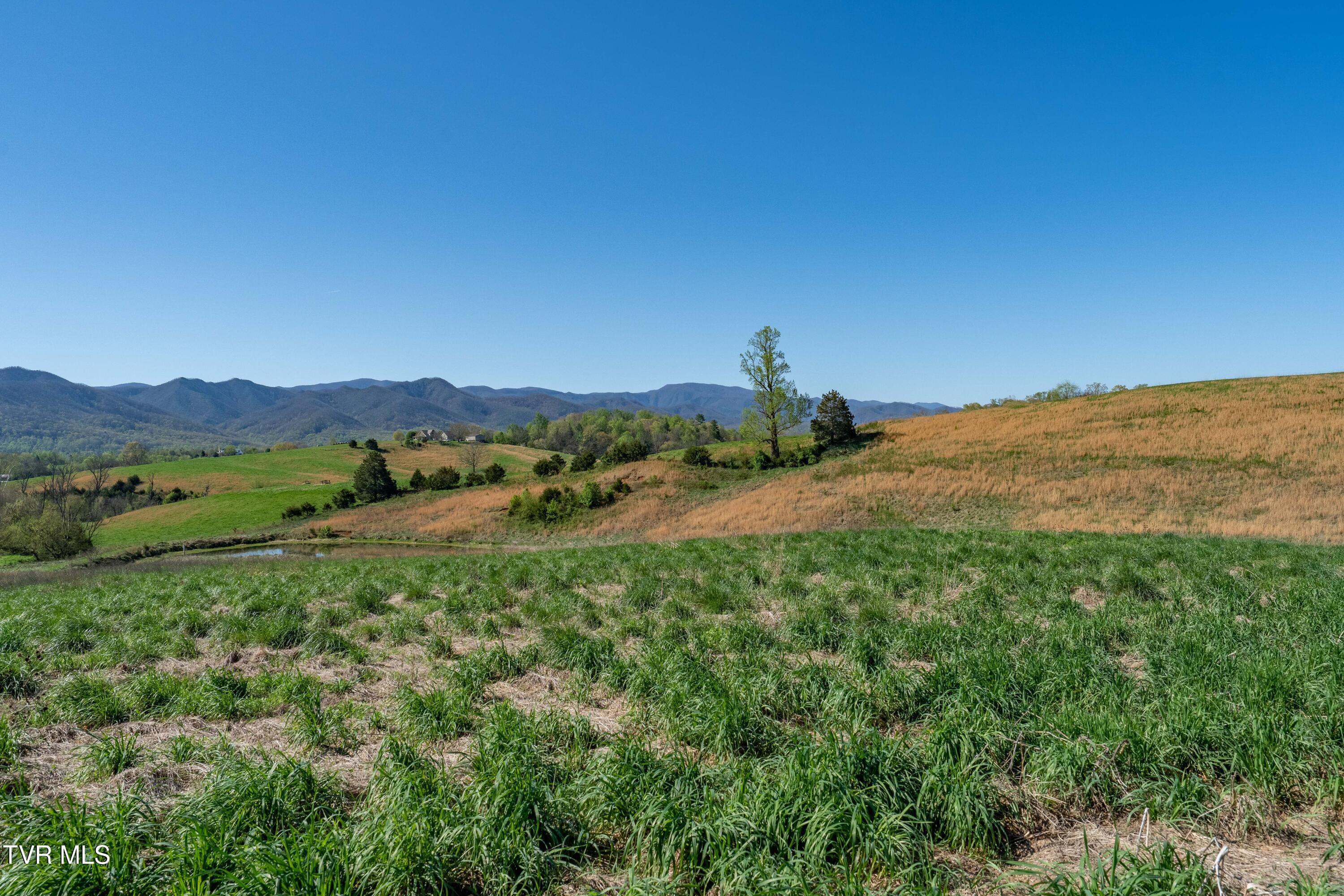 364 Laws Road, Limestone, Tennessee image 32