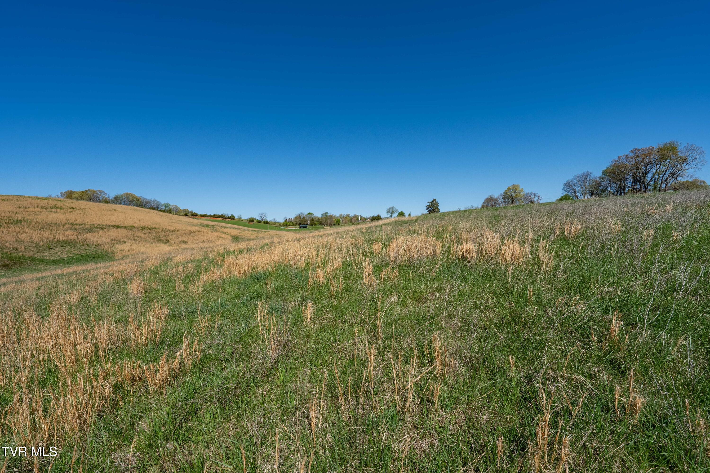 364 Laws Road, Limestone, Tennessee image 39