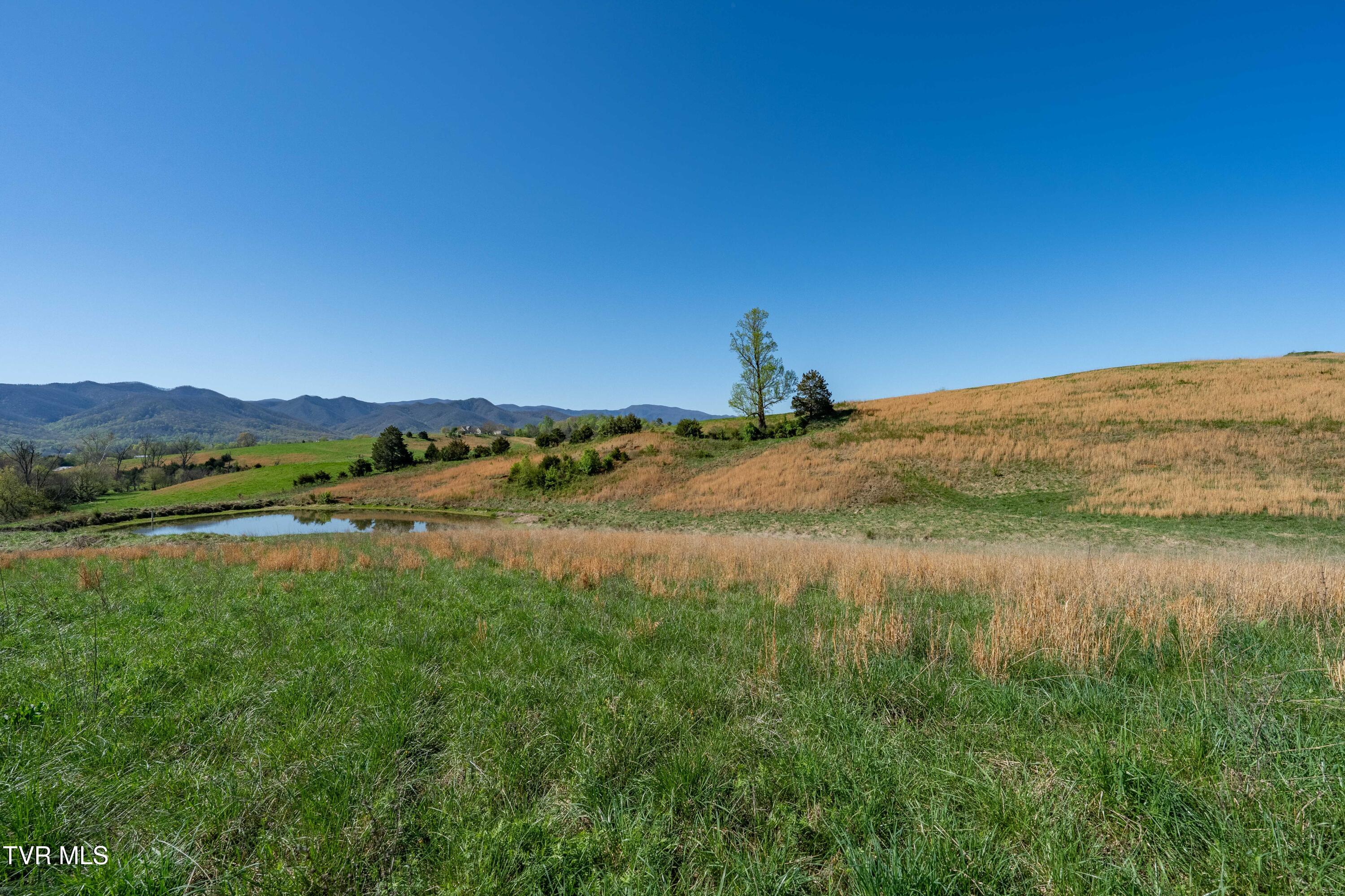 364 Laws Road, Limestone, Tennessee image 34