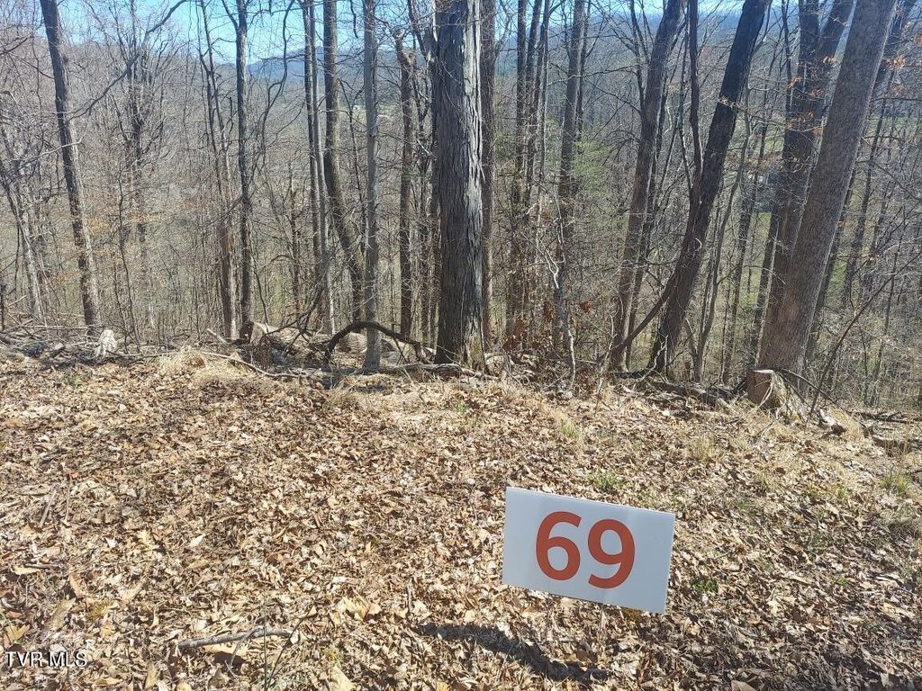 Photo of 69 Golf Course Road, Unicoi, TN 37692 (MLS # 9964526)