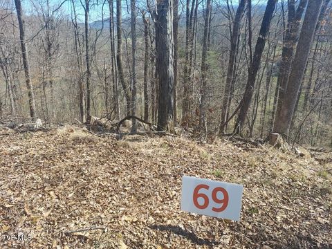 Vacant Land For Sale - 69 Golf Course Road<br/> Unicoi County, Unicoi, TN 37692
