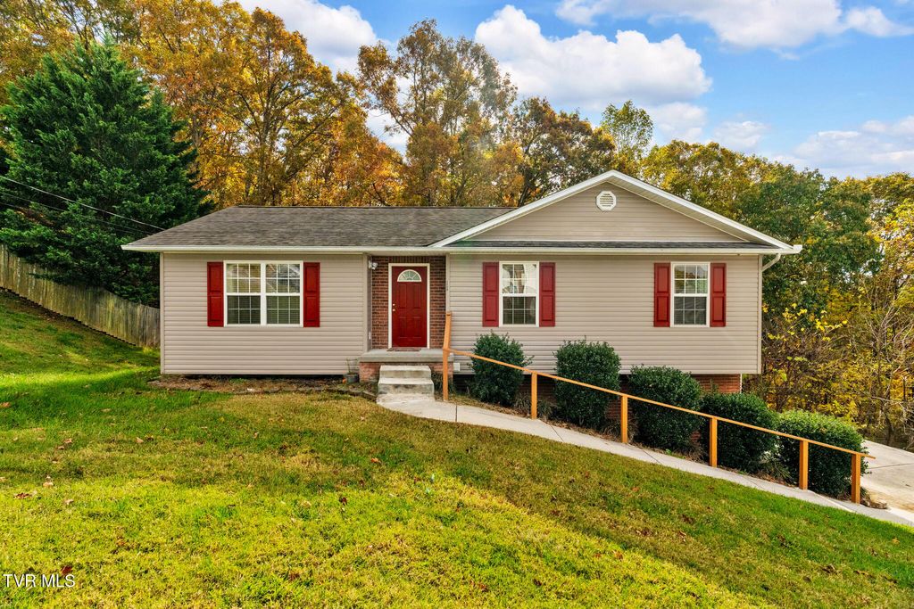 Photo of 1125 Faye Street, Kingsport, TN 37660 (MLS # 9994601)