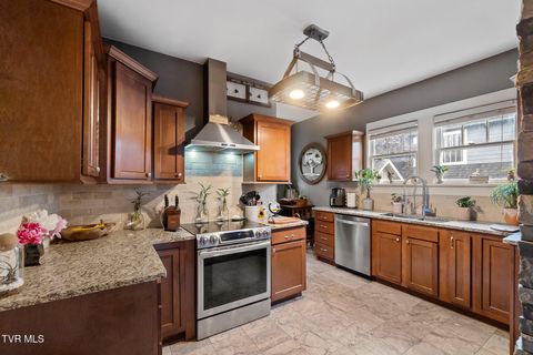Tiny photo for 408 Main Street, Greeneville, TN 37745 (MLS # 9980319)