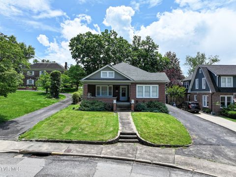 Tiny photo for 408 Main Street, Greeneville, TN 37745 (MLS # 9980319)
