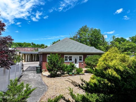 Tiny photo for 408 Main Street, Greeneville, TN 37745 (MLS # 9980319)