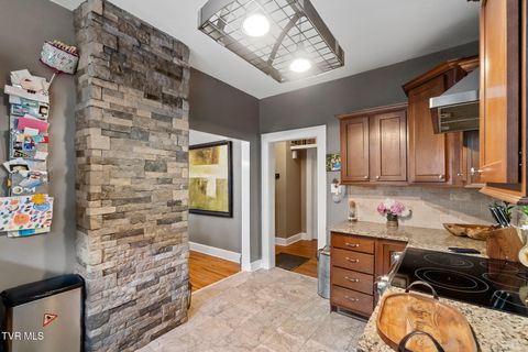 Tiny photo for 408 Main Street, Greeneville, TN 37745 (MLS # 9980319)