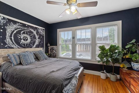 Tiny photo for 408 Main Street, Greeneville, TN 37745 (MLS # 9980319)