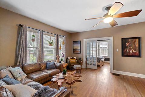 Tiny photo for 408 Main Street, Greeneville, TN 37745 (MLS # 9980319)