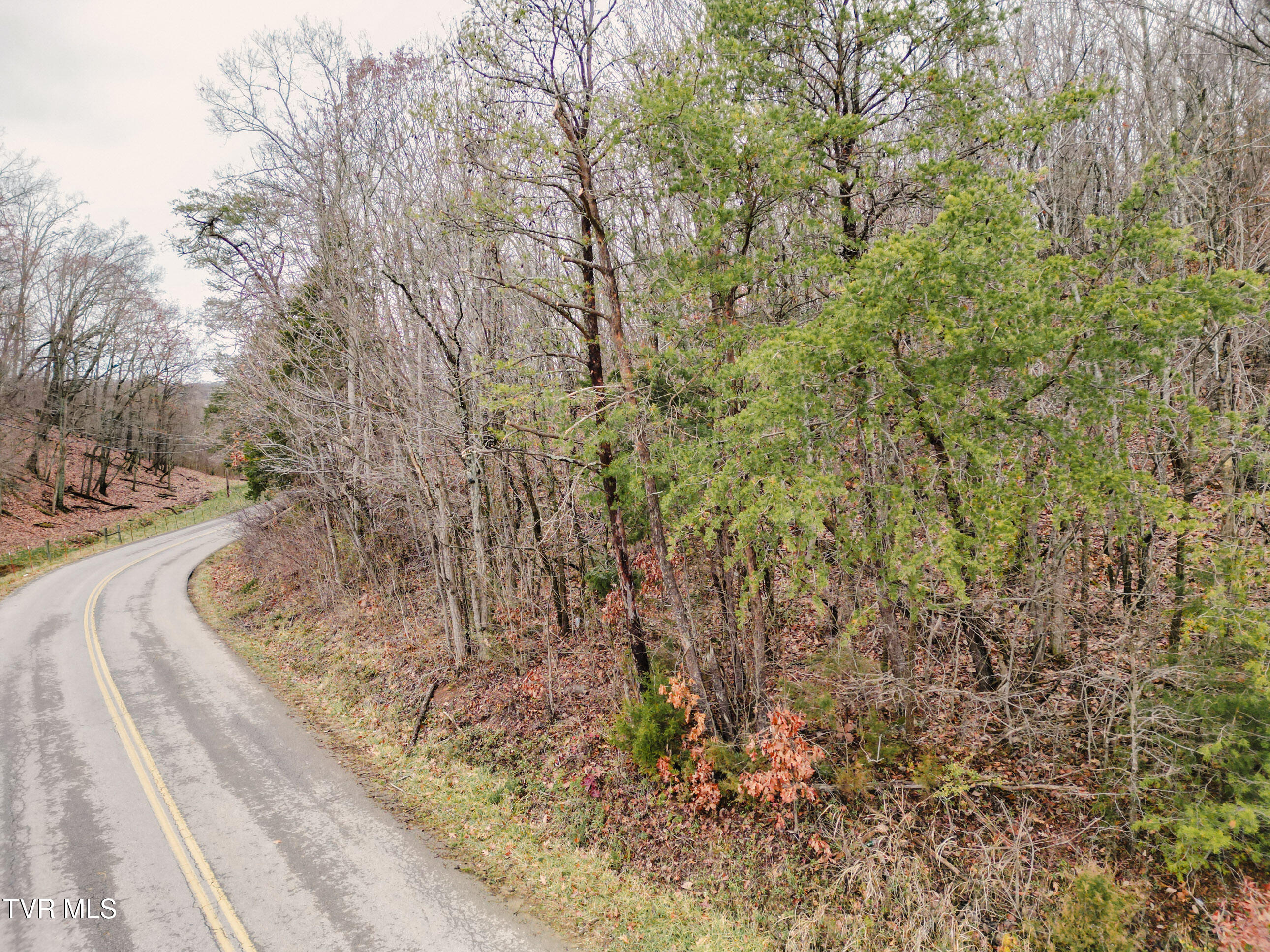 Lot 2 Old Knoxville Highway, Greeneville, Tennessee image 2