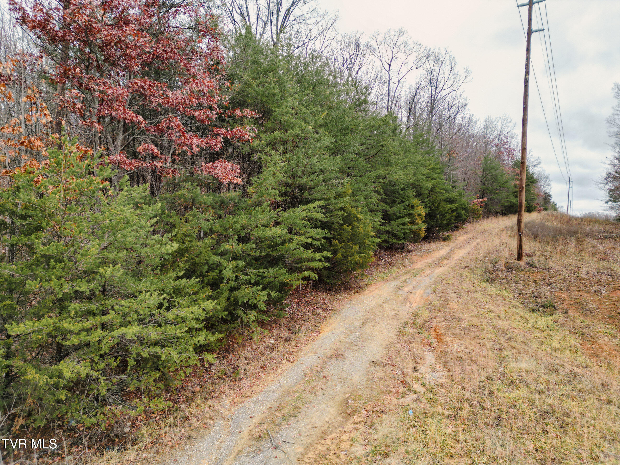Lot 2 Old Knoxville Highway, Greeneville, Tennessee image 1
