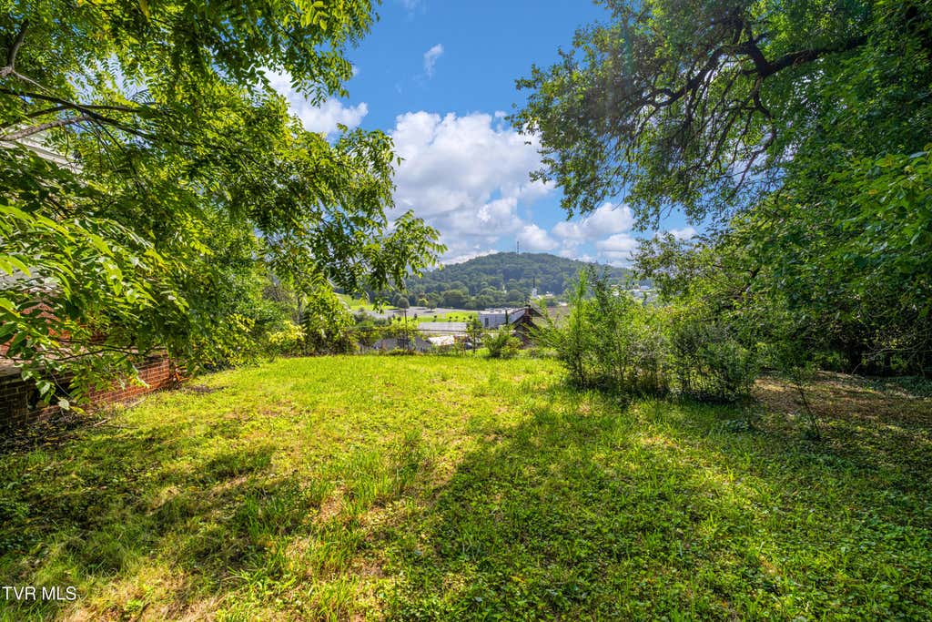 Photo of 1605 Highpoint Avenue, Kingsport, TN 37665 (MLS # 9999702)