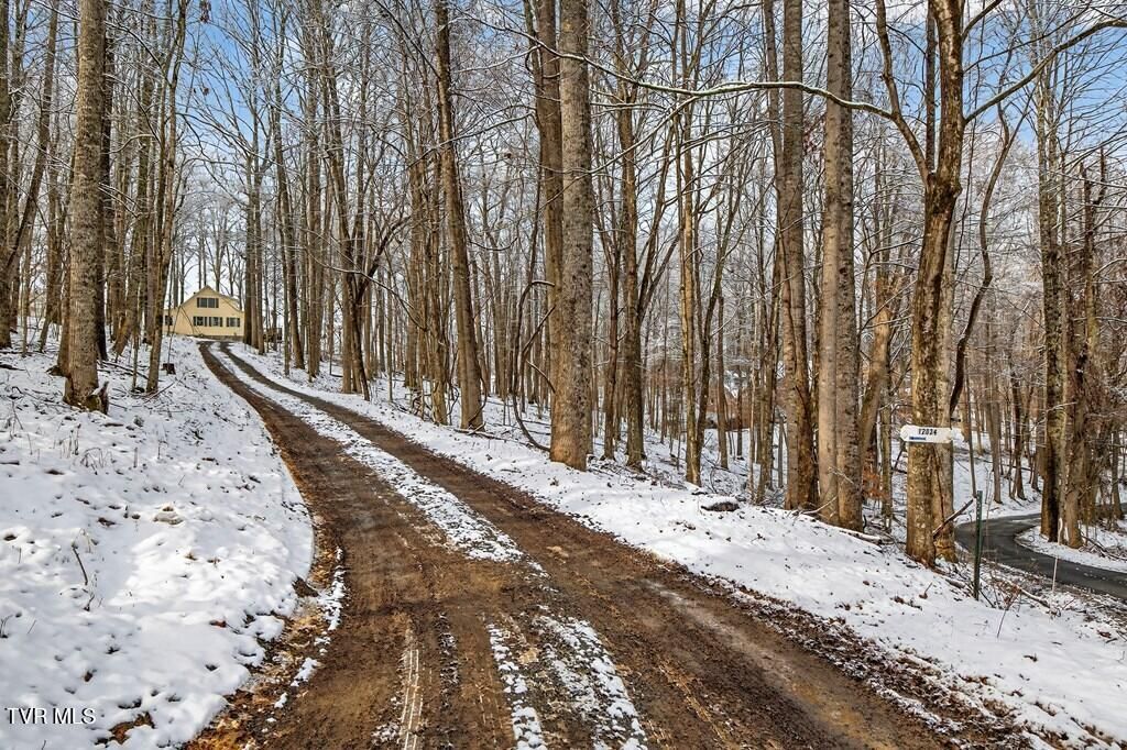 Photo of 12034 Waterhouse Lane, Meadowview, VA 24361 (MLS # 9990437)