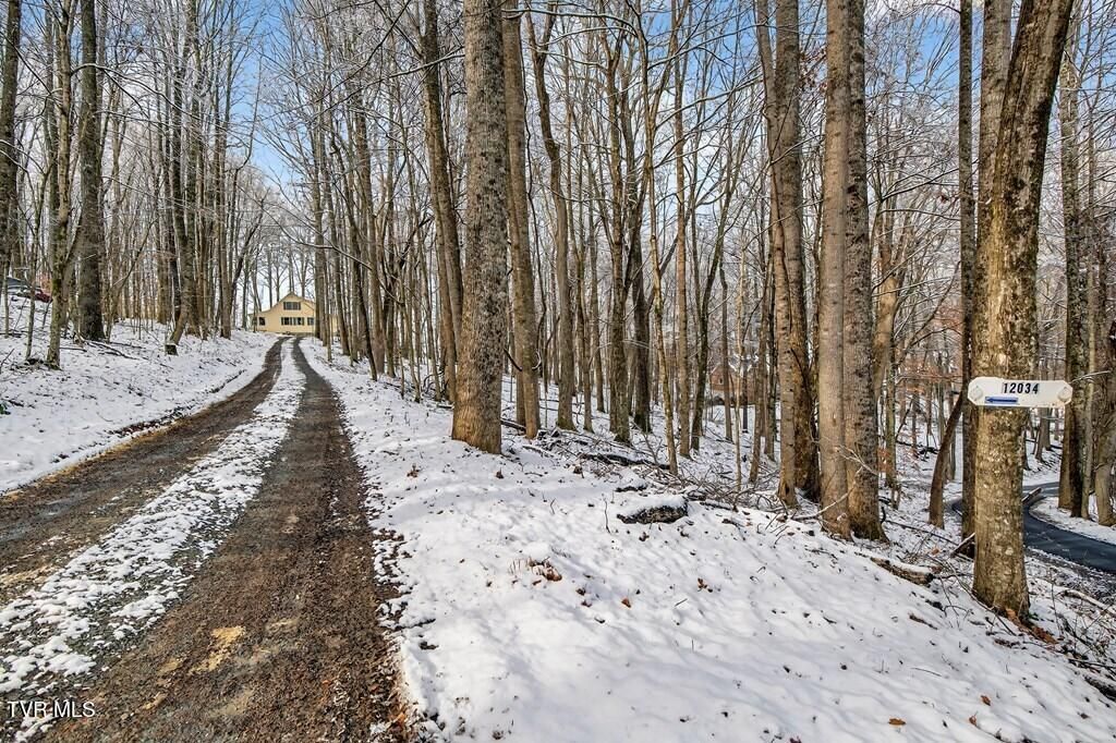 Photo of 12034 Waterhouse Lane, Meadowview, VA 24361 (MLS # 9990437)