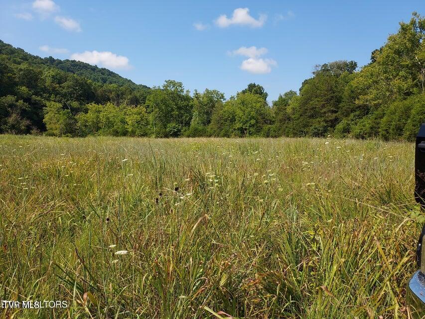 Tbd Pawpaw Road, Thorn Hill, Tennessee image 9