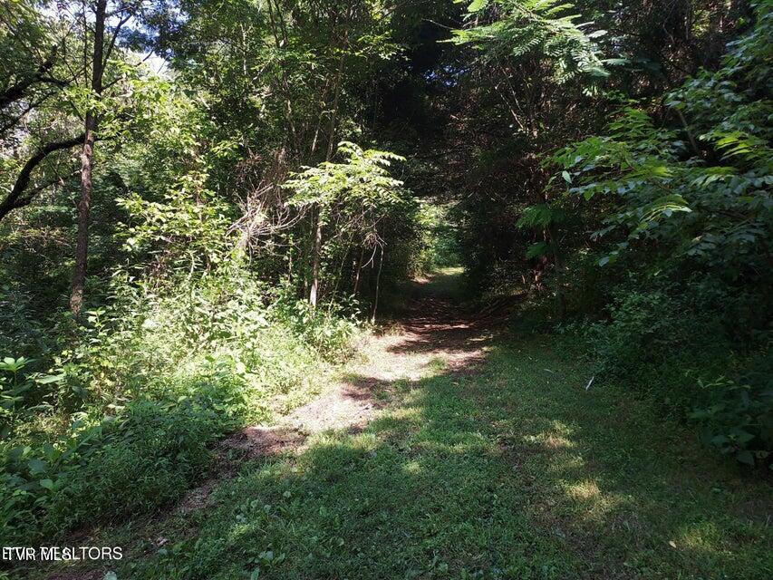 Tbd Pawpaw Road, Thorn Hill, Tennessee image 12