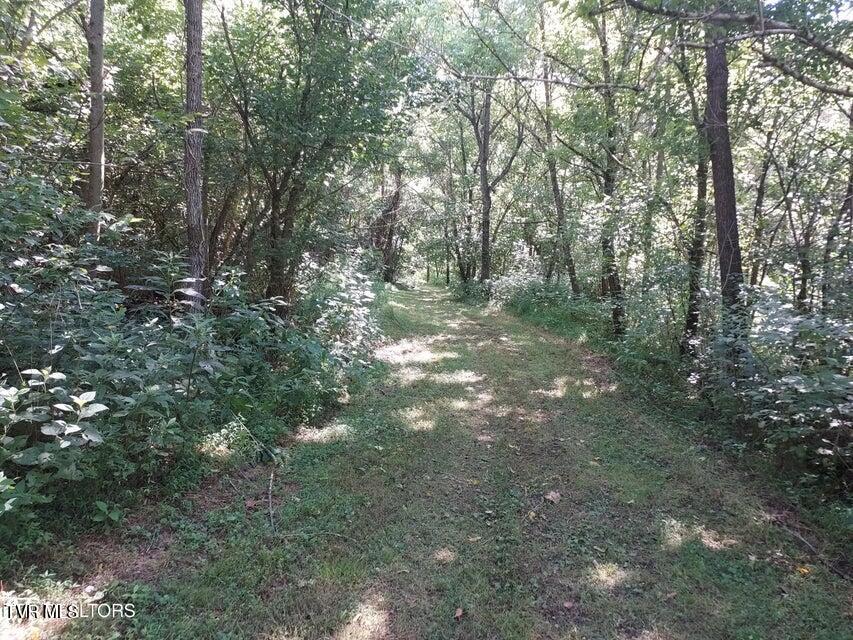 Tbd Pawpaw Road, Thorn Hill, Tennessee image 14