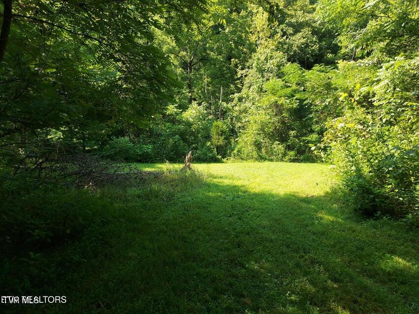Tbd Pawpaw Road, Thorn Hill, Tennessee image 10