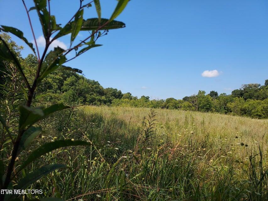 Tbd Pawpaw Road, Thorn Hill, Tennessee image 3