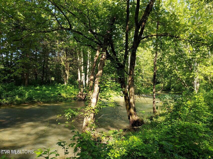 Tbd Pawpaw Road, Thorn Hill, Tennessee image 1