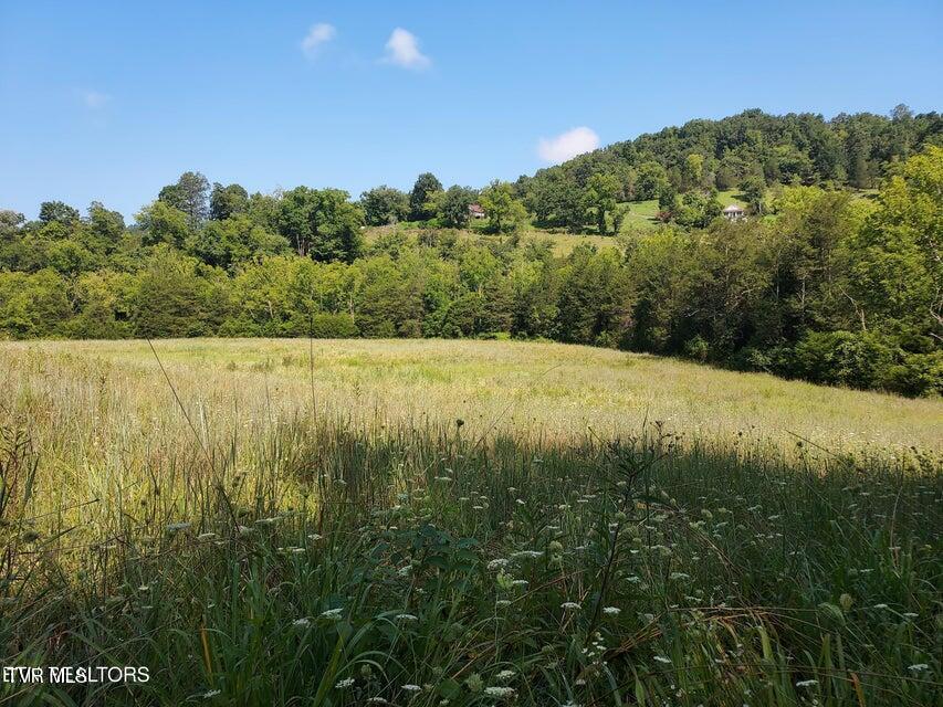 Tbd Pawpaw Road, Thorn Hill, Tennessee image 7