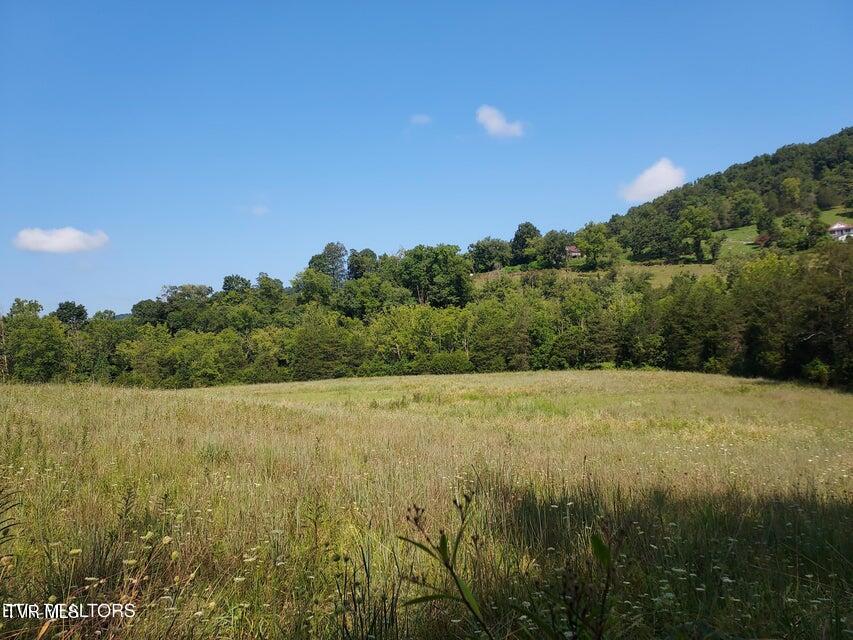 Tbd Pawpaw Road, Thorn Hill, Tennessee image 4