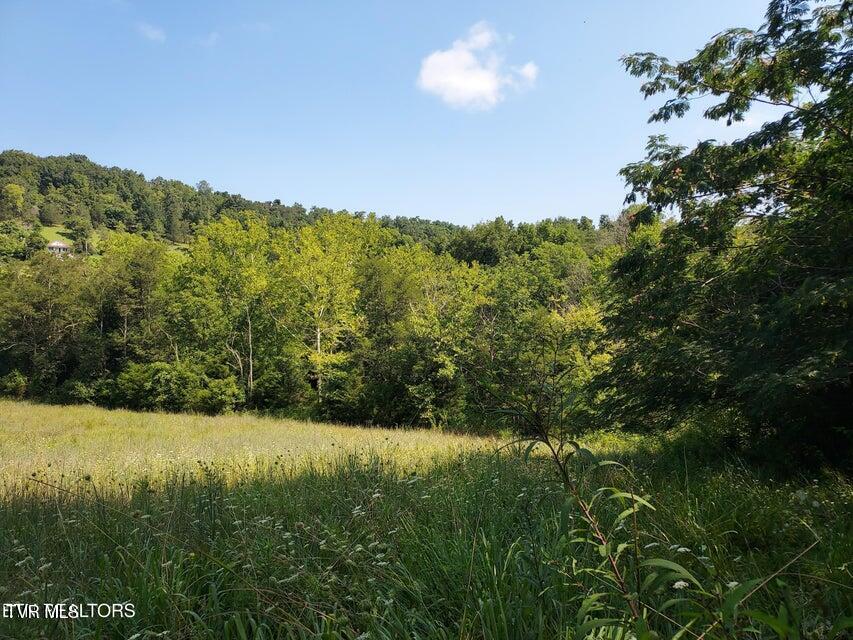 Tbd Pawpaw Road, Thorn Hill, Tennessee image 8