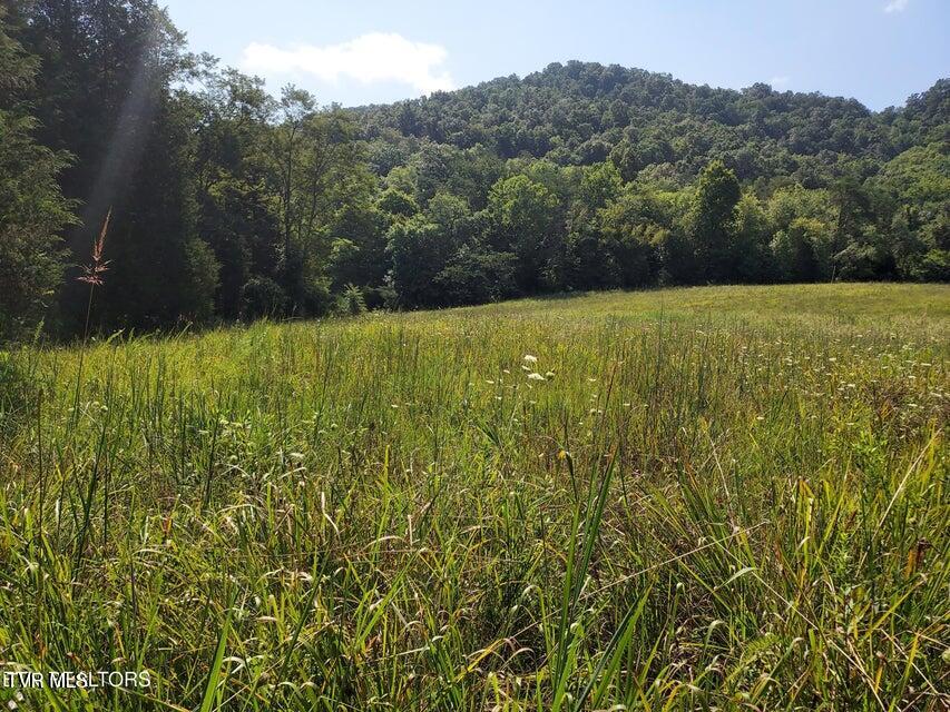 Tbd Pawpaw Road, Thorn Hill, Tennessee image 5