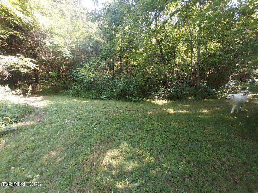 Tbd Pawpaw Road, Thorn Hill, Tennessee image 13