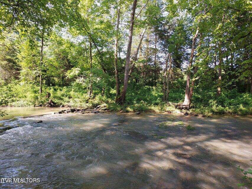 Tbd Pawpaw Road, Thorn Hill, Tennessee image 2