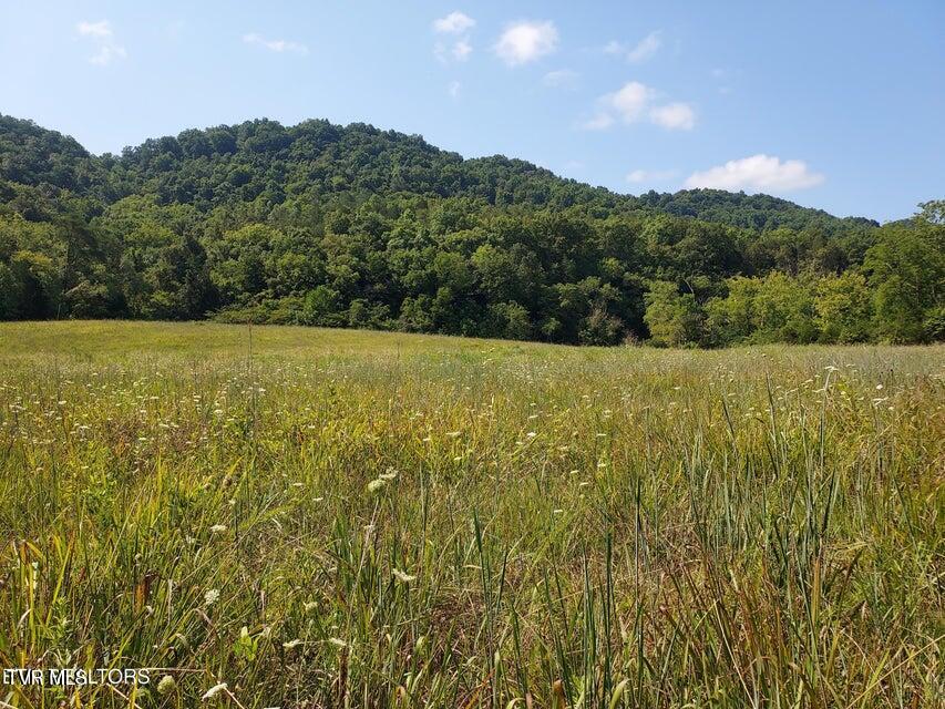 Tbd Pawpaw Road, Thorn Hill, Tennessee image 6