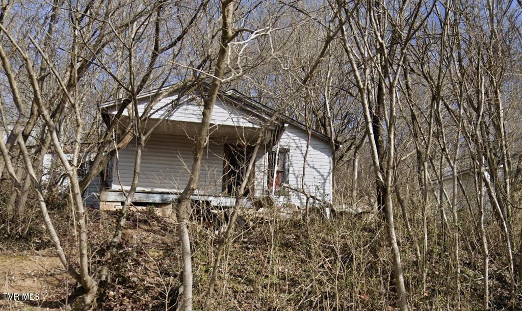 Photo of 1213 Harrison Avenue, Kingsport, TN 37665 (MLS # 10001630)