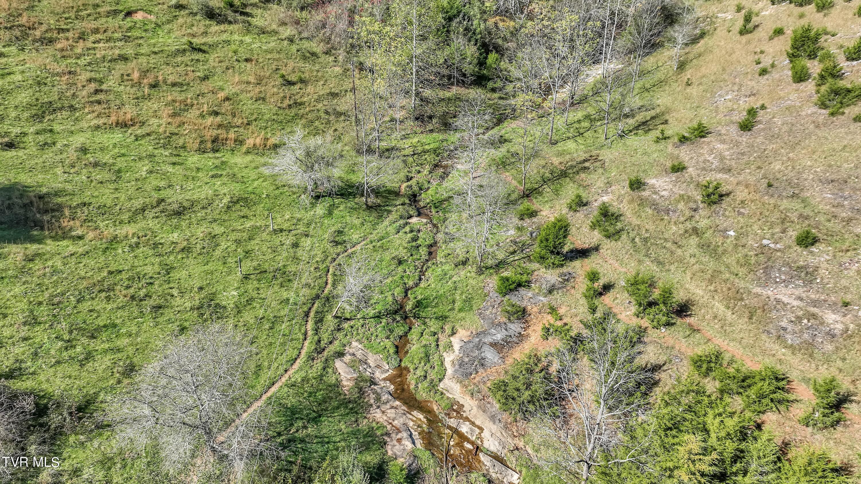 141 Pumplog Hollow, Castlewood, Virginia image 11