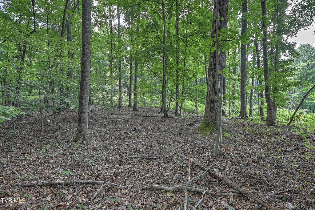 Photo of 2 Payne Ridge Road, Church Hill, TN 37642 (MLS # 9983182)