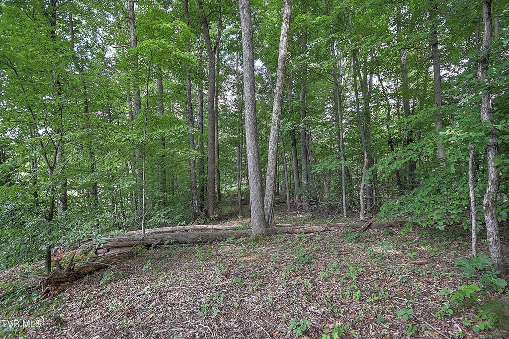 Photo of 2 Payne Ridge Road, Church Hill, TN 37642 (MLS # 9983182)