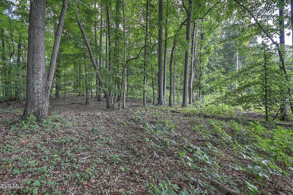 Photo of 2 Payne Ridge Road, Church Hill, TN 37642 (MLS # 9983182)