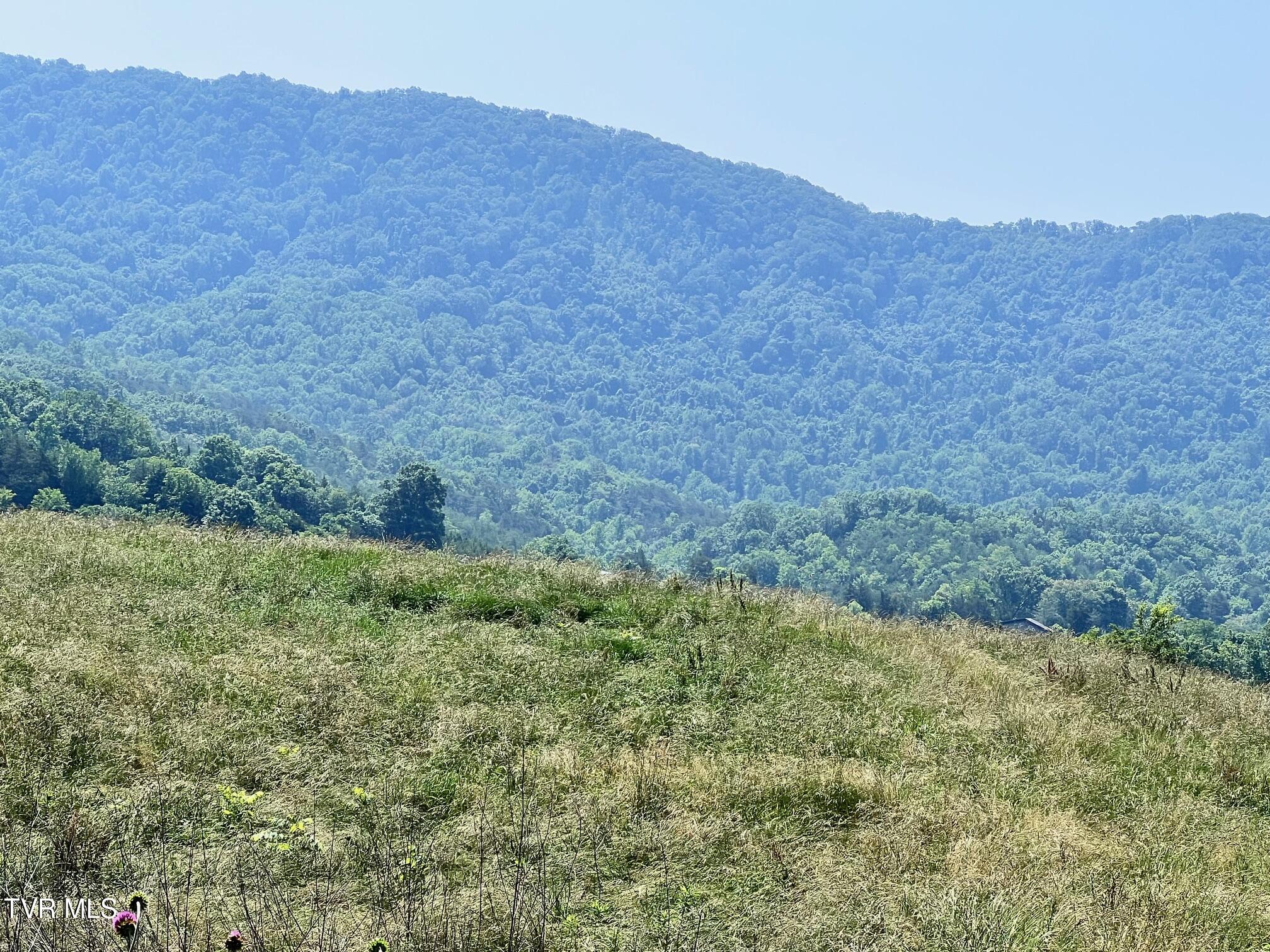 2995 Hwy 131, Thorn Hill, Tennessee image 7
