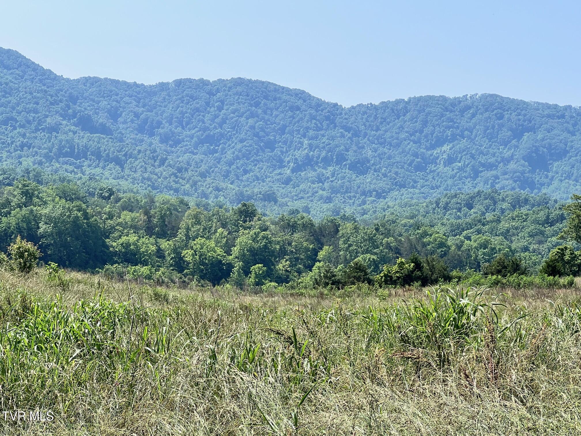2995 Hwy 131, Thorn Hill, Tennessee image 8