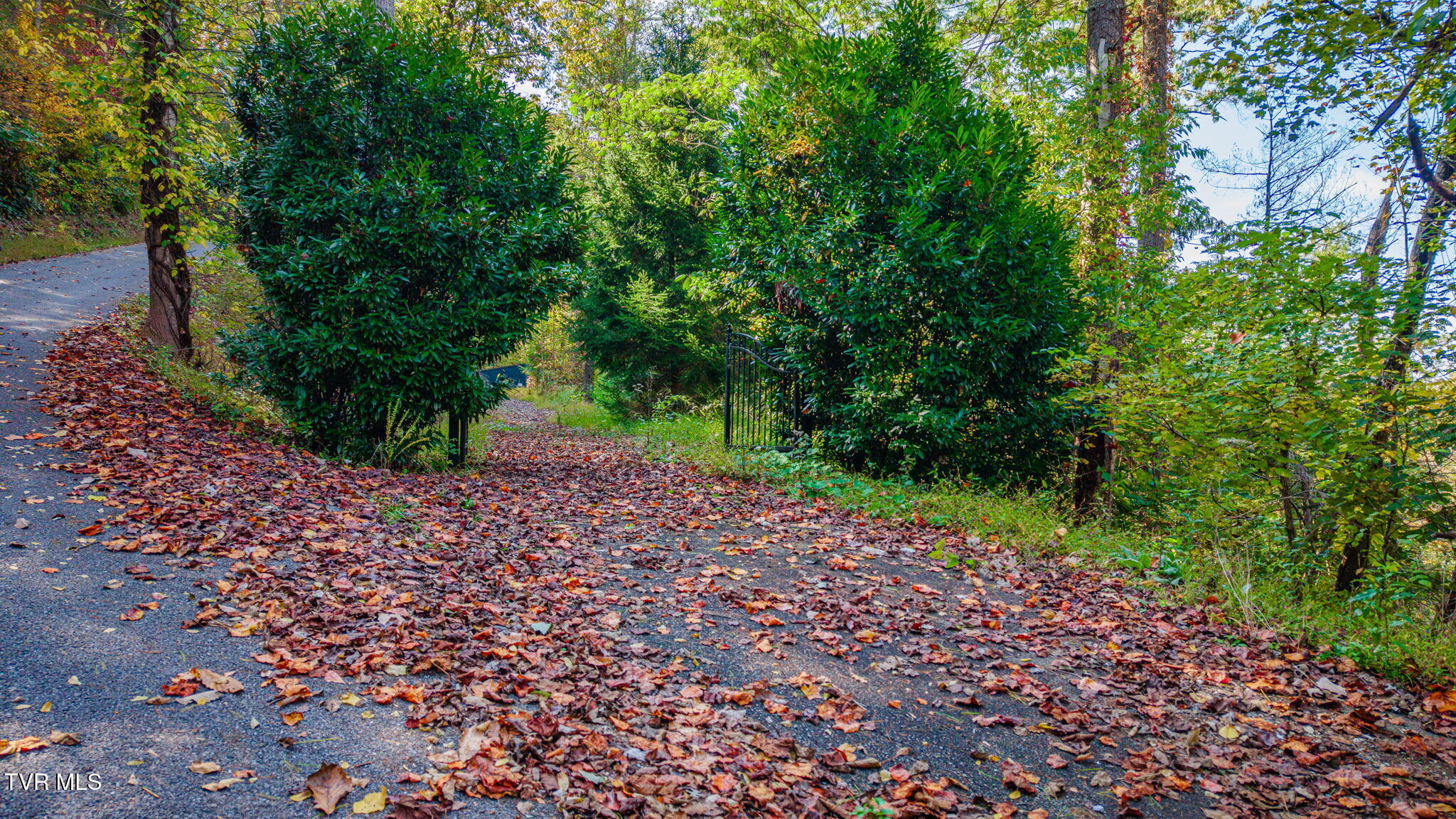 Tbd Cove Ridge Circle
