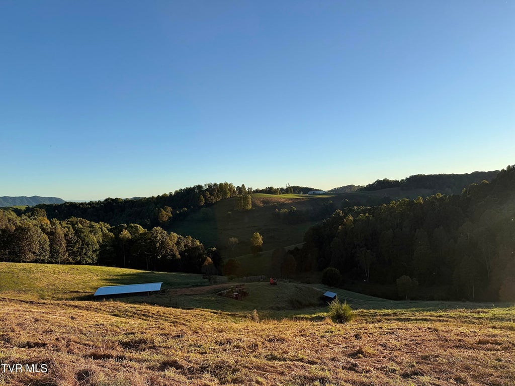 Photo of 431 Strong Hollow Lane, Fort Blackmore, VA 24250 (MLS # 10001810)