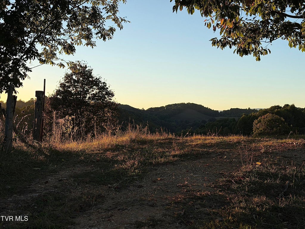 Photo of 431 Strong Hollow Lane, Fort Blackmore, VA 24250 (MLS # 10001810)