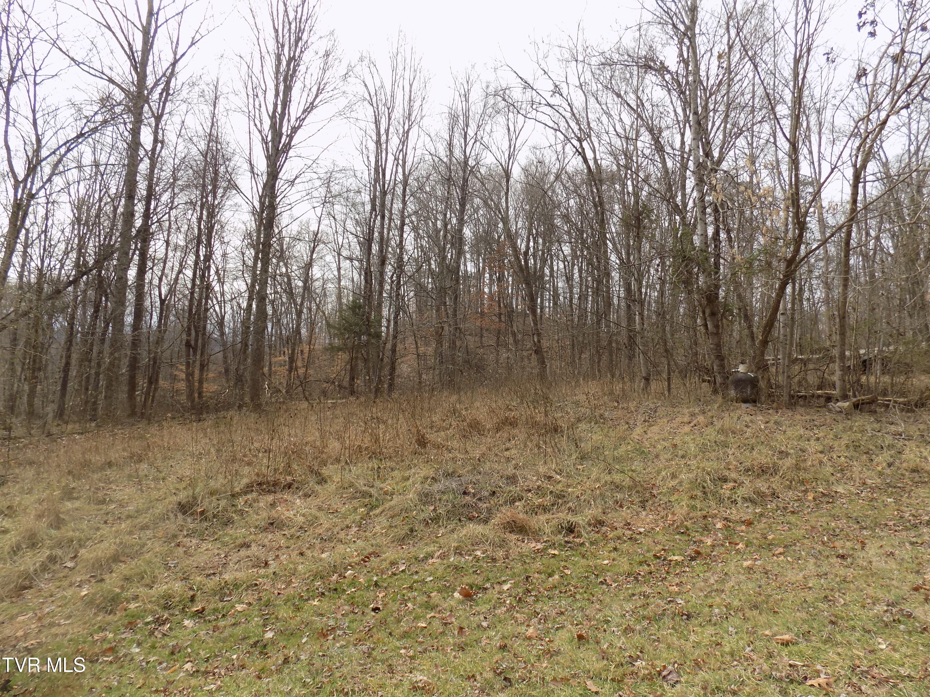 185 Lovin Rd Rd, Mooresburg, Tennessee image 47
