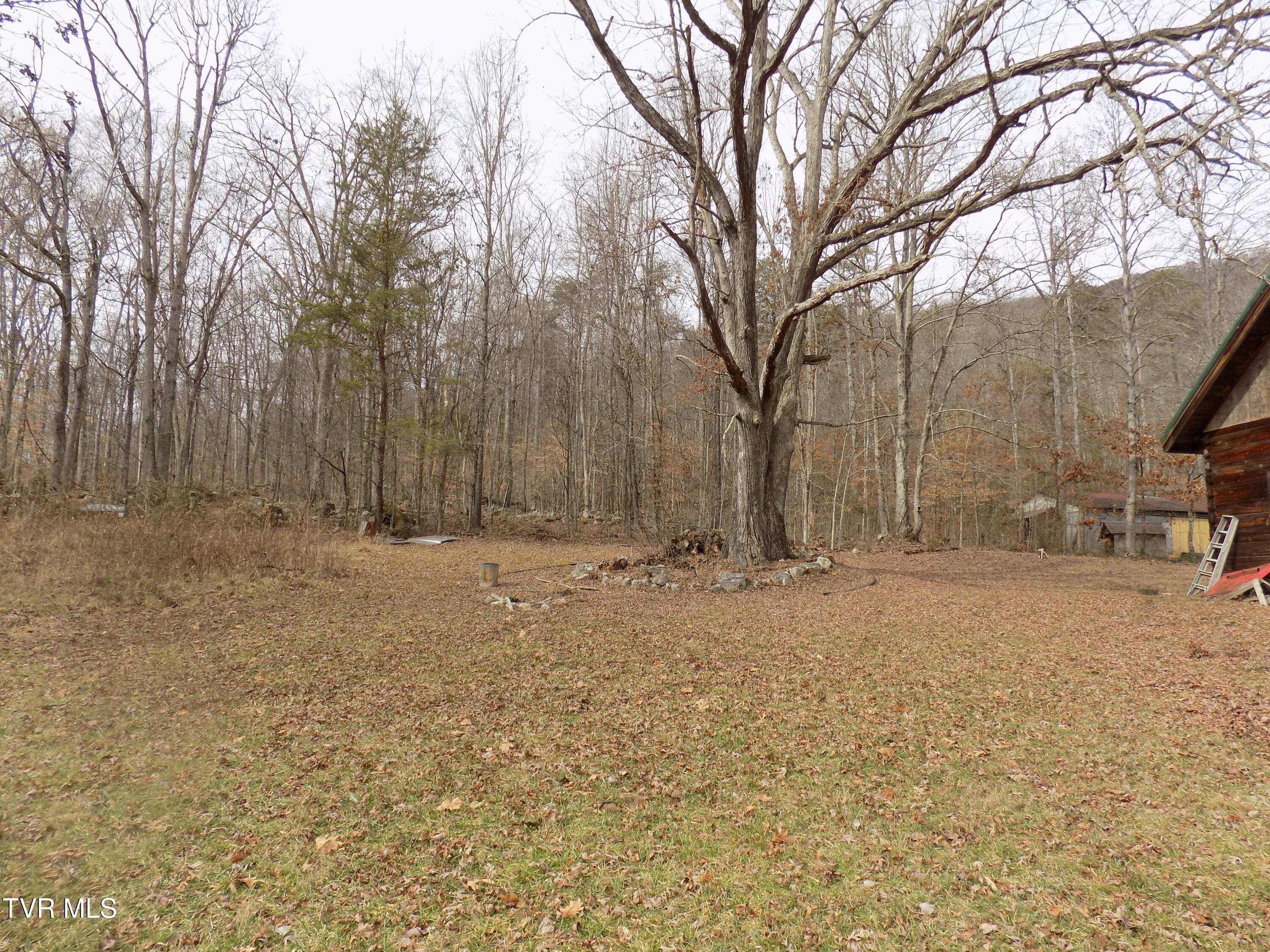 185 Lovin Rd Rd, Mooresburg, Tennessee image 48