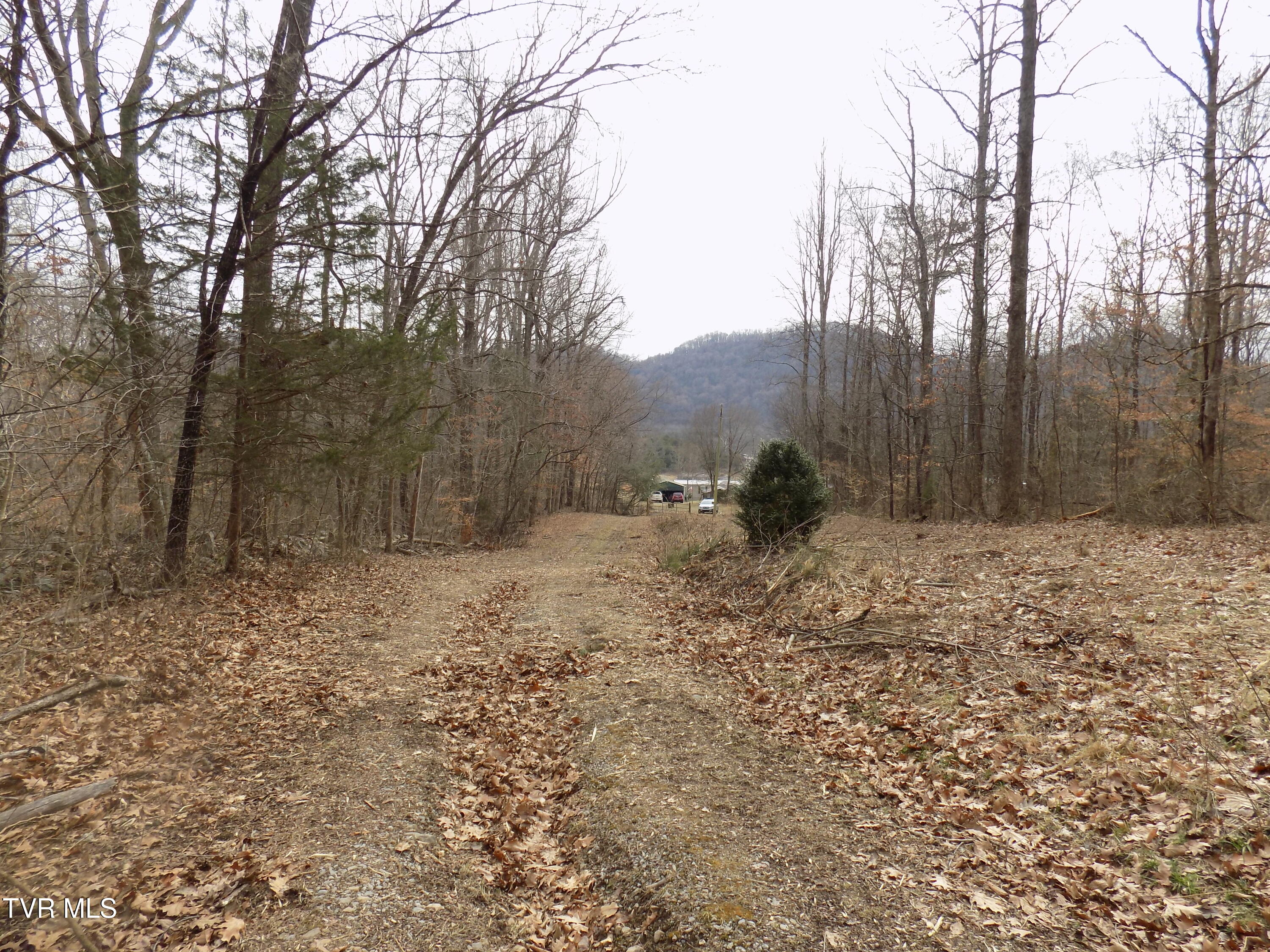 185 Lovin Rd Rd, Mooresburg, Tennessee image 49