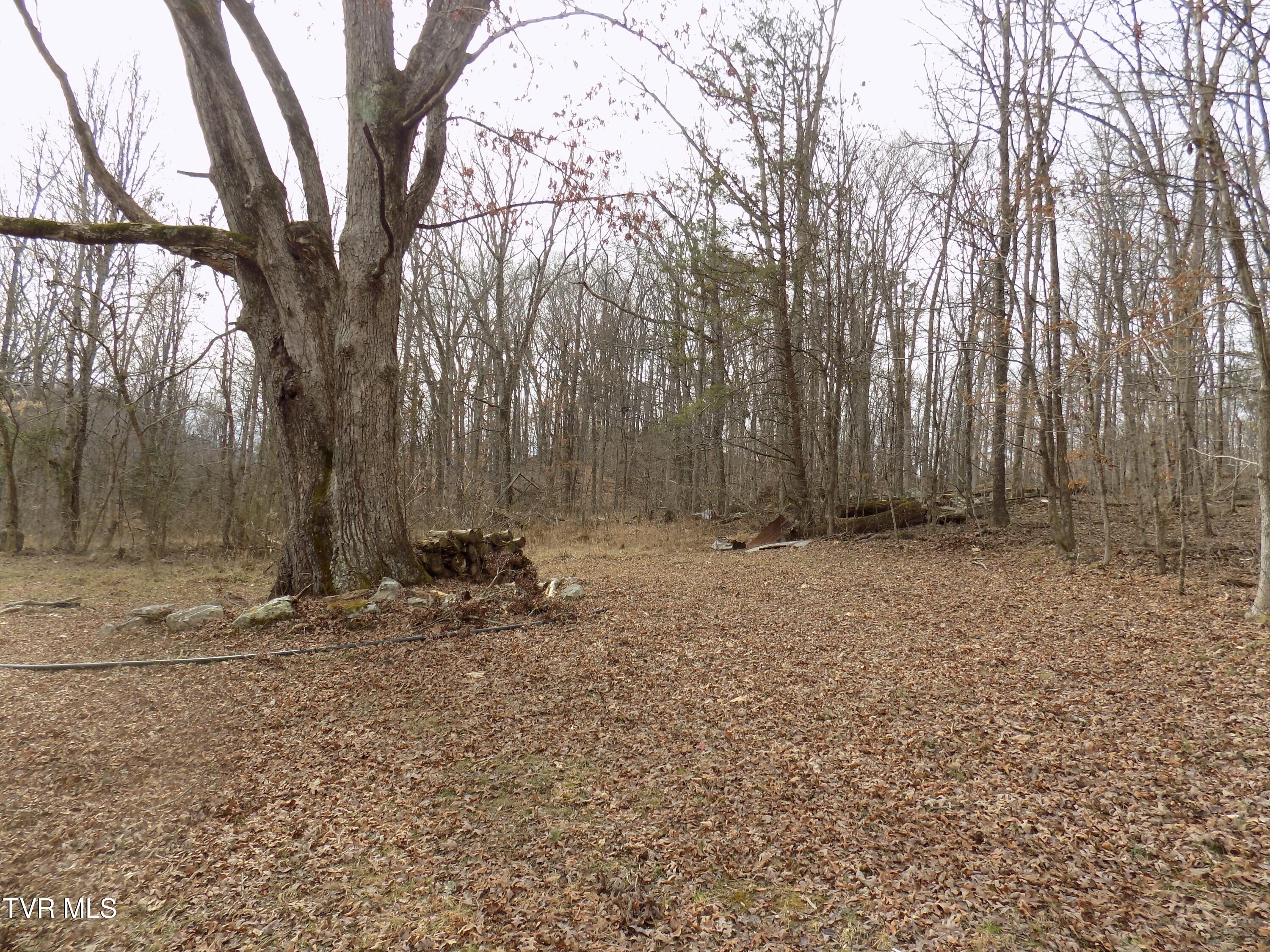 185 Lovin Rd Rd, Mooresburg, Tennessee image 44