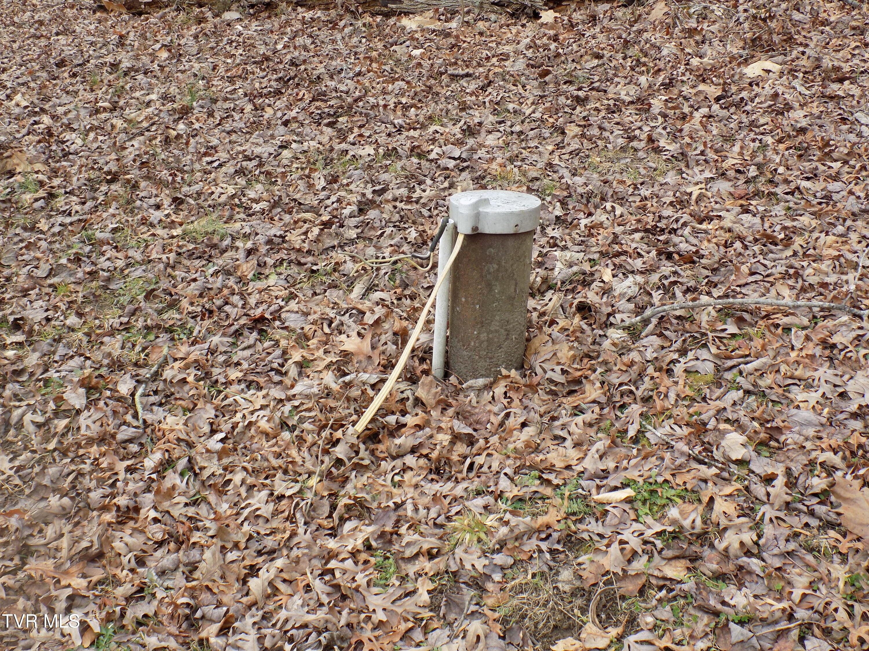 185 Lovin Rd Rd, Mooresburg, Tennessee image 8