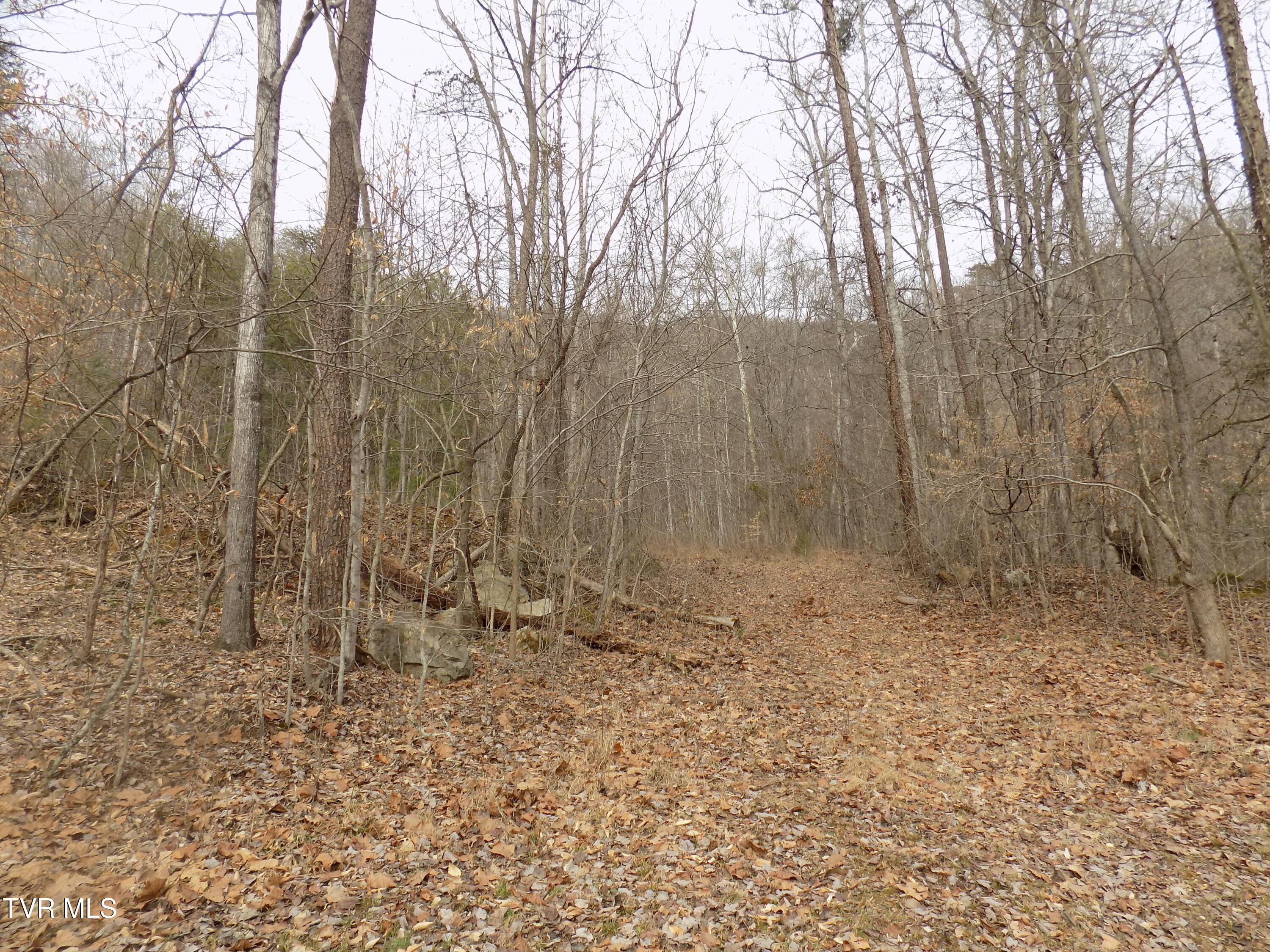 185 Lovin Rd Rd, Mooresburg, Tennessee image 45