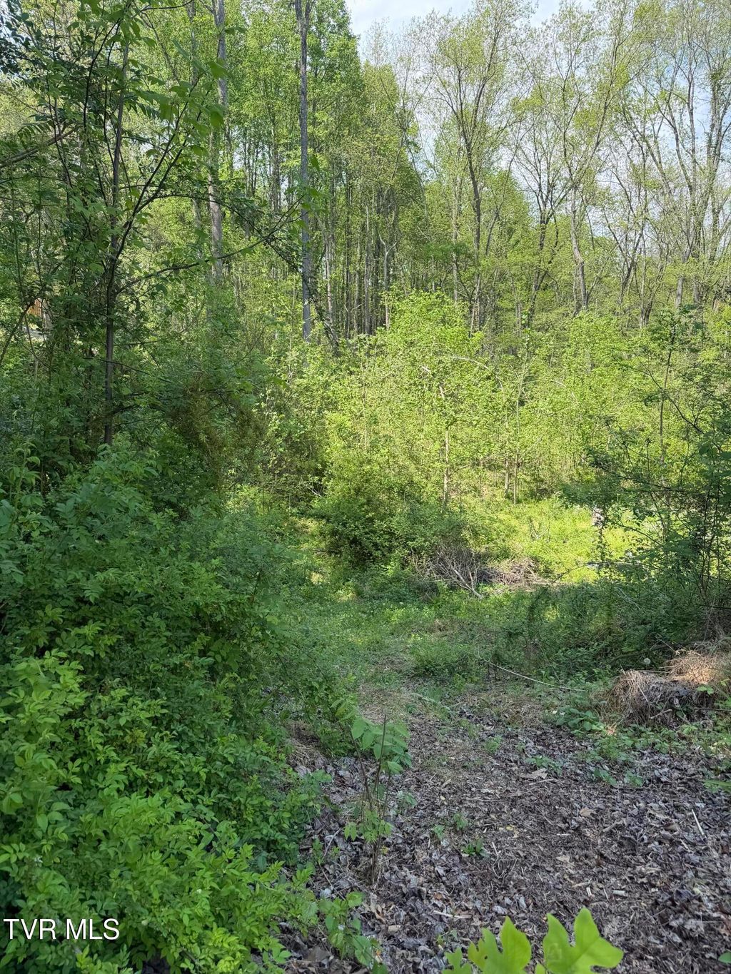 Photo of 310 Mitchell Court, Jonesborough, TN 37659 (MLS # 9994122)