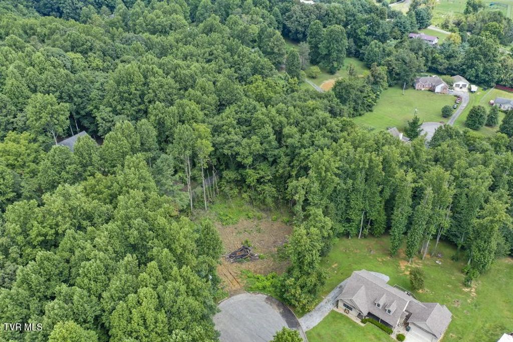 Photo of 310 Mitchell Court, Jonesborough, TN 37659 (MLS # 9994122)