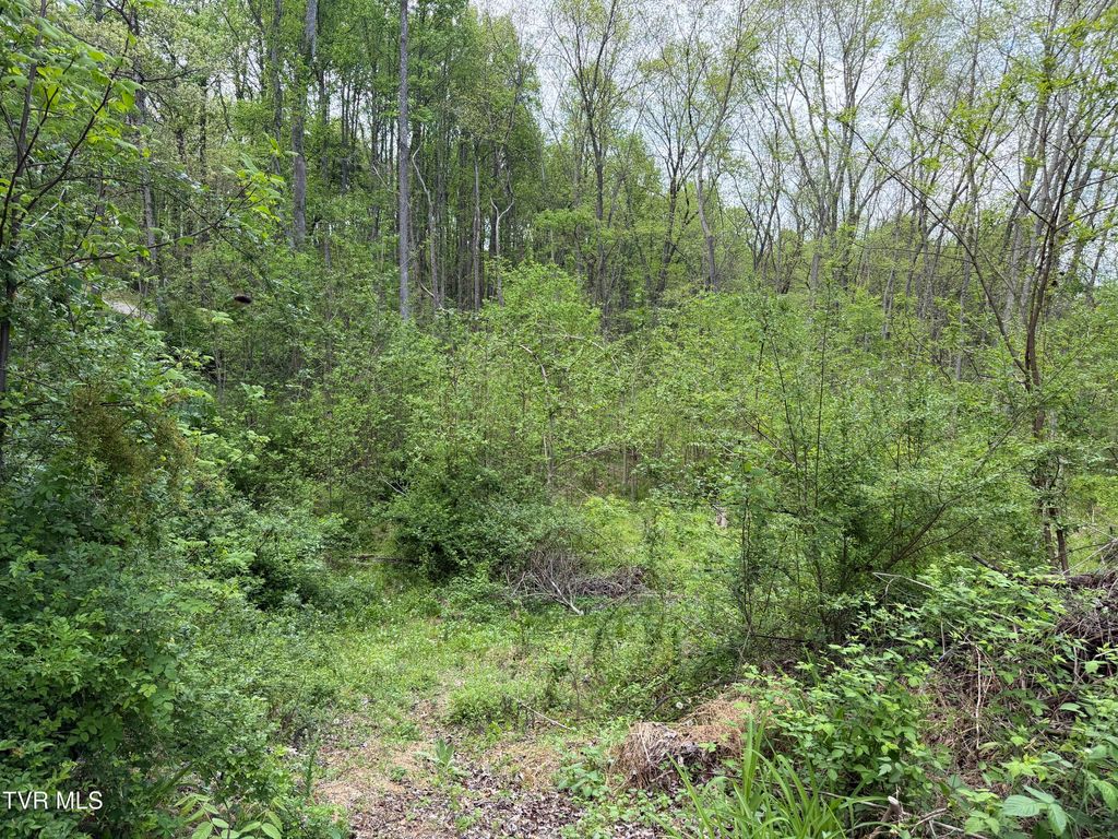 Photo of 310 Mitchell Court, Jonesborough, TN 37659 (MLS # 9994122)