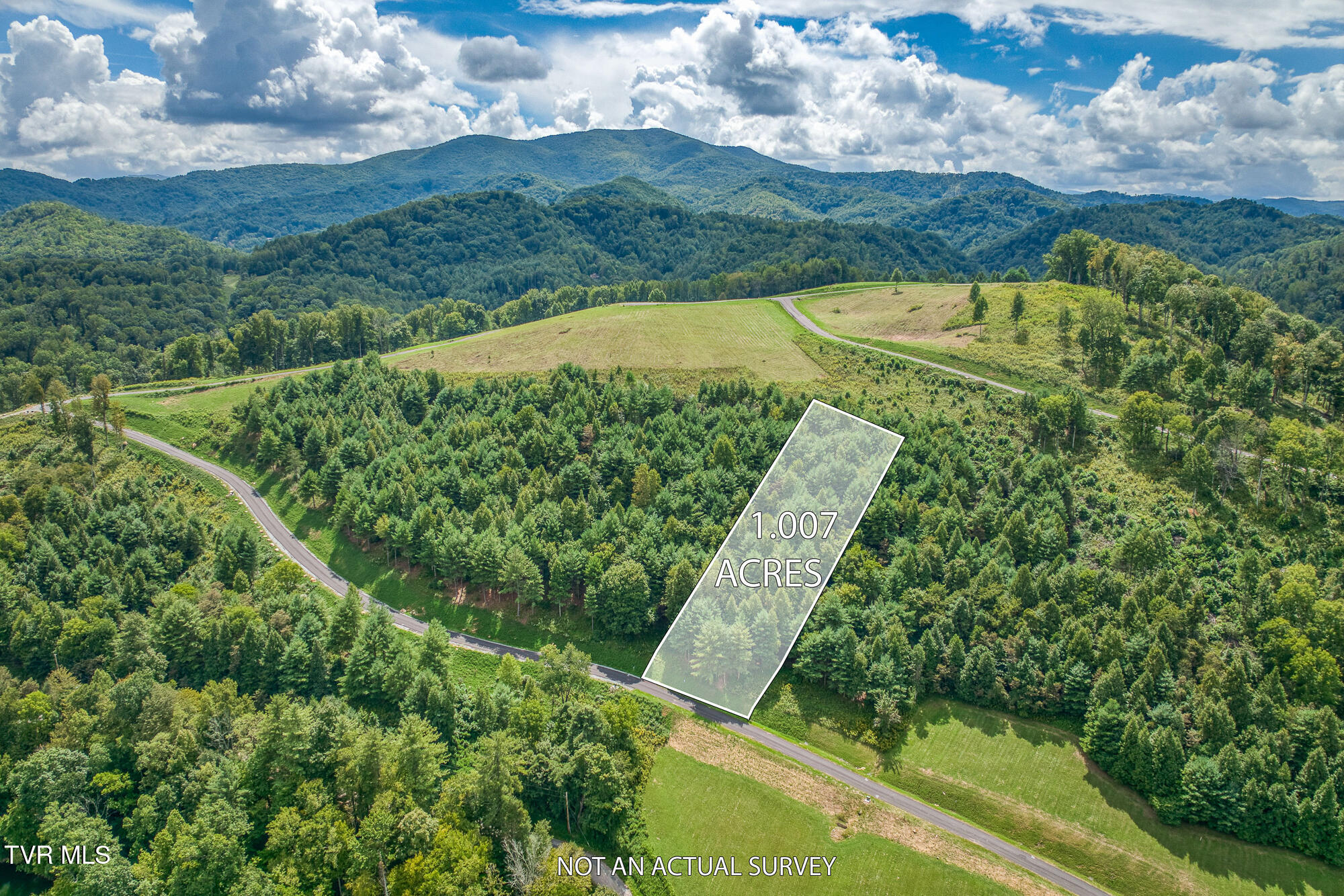 Lot 10 Cowan Town Road, Butler, Tennessee image 3